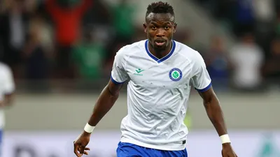 Le Havre AC, 14e de Ligue 1, s'apprête à renforcer son effectif avec l'arrivée d'un ancien buteur de Sunderland et de Fulham